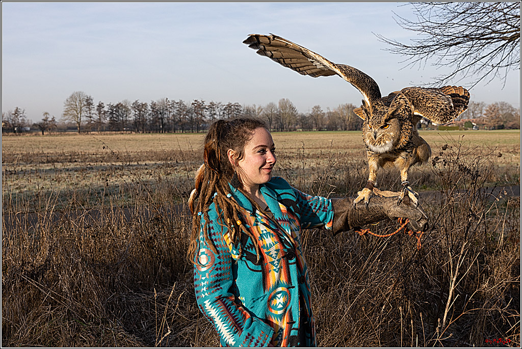 Cheyenne-Halbblut Hunting Wolf in der Falknerei Pierre Schmidt; Gymnich, 09.02.2023